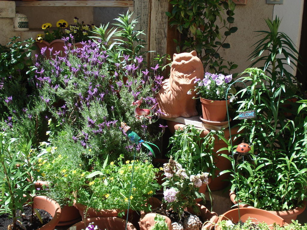 Abruzzo Segreto Bed & Breakfast Navelli Exterior photo